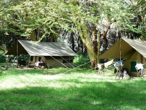 S_M Camp Gallery extra 3
