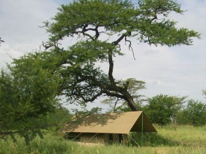 S_M Camp Gallery extra 4
