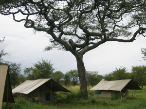 S_M Camp Gallery extra 5