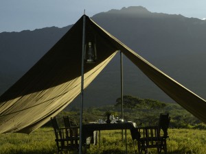 camp gallery 1