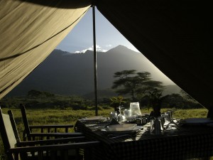 camp gallery 2