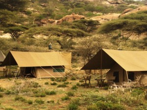 camp gallery 20