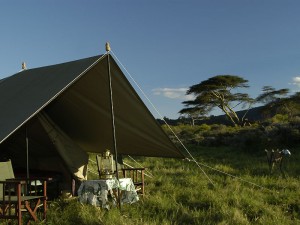 camp gallery 3