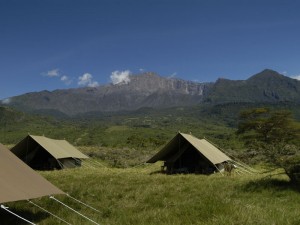 camp gallery 7